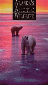 Alaska's Arctic Wildlife (1997) Online