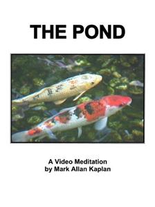 The Pond (2002) Online