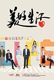 Wonderful Life Episode #1.4 (2017– ) Online