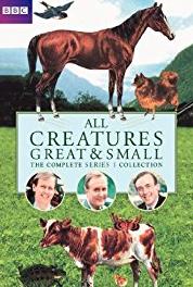 All Creatures Great and Small 1985 Special (1978–1990) Online