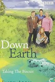 Down to Earth Cat on a Bonfire (2000–2005) Online