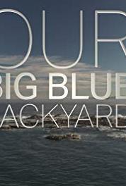 Our Big Blue Backyard Banks Peninsula (2014– ) Online