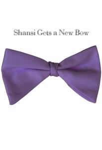 Shansi Gets a New Bow (2017) Online