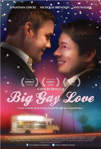 Big Gay Love (2013) Online