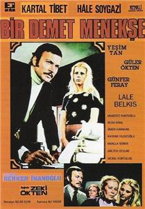 Bir Demet Menekse (1973) Online