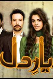 Diyar-e-Dil Episode #1.3 (2015– ) Online