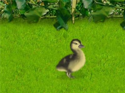 Little Einsteins Duck, Duck, June (2005– ) Online