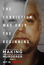 Making a Murderer What + Why = Who (2015– ) Online