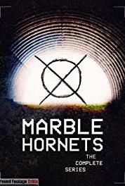 Marble Hornets Entry #74 (2009–2014) Online