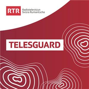 Telesguard  Online