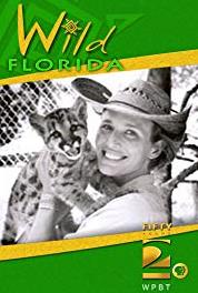 Wild Florida The Vanishing Panther (2006–2009) Online