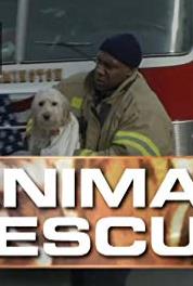 Animal Rescue with Alex Paen Episode dated 2 November 2015 (2007– ) Online