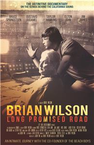 Brian Wilson: Long Promised Road  Online