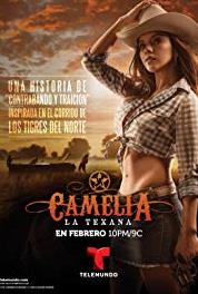 Camelia La Texana Episode #1.47 (2014– ) Online