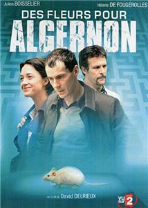 Des fleurs pour Algernon (2006) Online