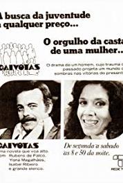 Gaivotas Episode #1.134 (1979– ) Online