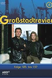 Großstadtrevier Sunny Boy (1986– ) Online