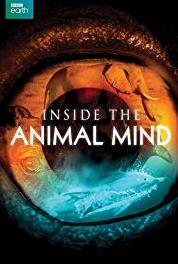 Inside the Animal Mind You Are What You Sense (2014– ) Online