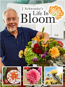 Life in Bloom  Online