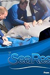 Sea Rescue A Ray of Hope (2012– ) Online