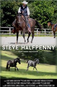 Steve Halfpenny (2017) Online