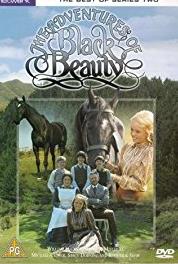 The Adventures of Black Beauty The Horse Healer (1972–1974) Online