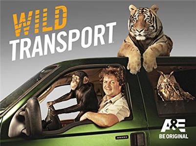 Wild Transport Chimp My Ride (2015– ) Online
