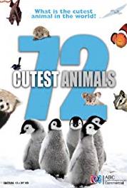 72 Cutest Animals Quirky Quadrupeds (2016– ) Online