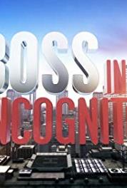 Boss in incognito DECOTTOPIA (2014– ) Online