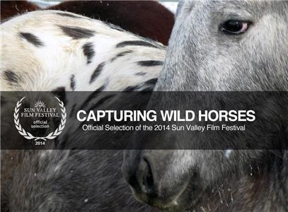 Capturing Wild Horses (2014) Online