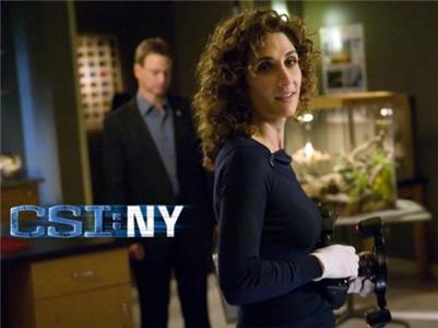 CSI: New York Admissions (2004–2013) Online