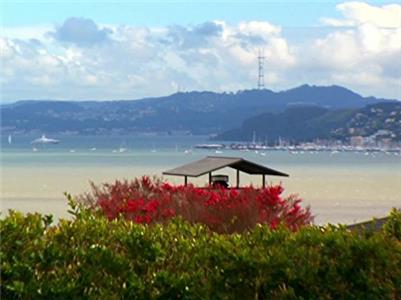 House Hunters Looking for Million-Dollar Views in Tiburon, California (1999– ) Online