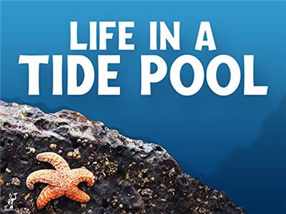 Life in a Tide Pool  Online