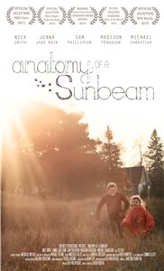 Anatomy of a Sunbeam (2013) Online