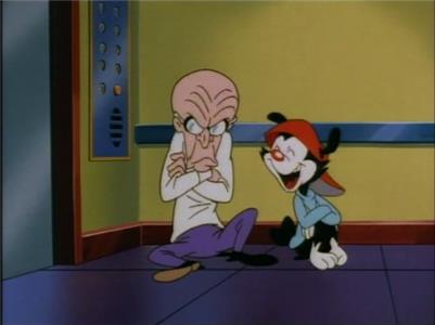 Animaniacs Ups and Downs/The Brave Little Trailer/Yes, Always (1993–1998) Online