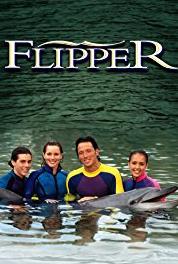 Flipper A Night to Remember (1995– ) Online