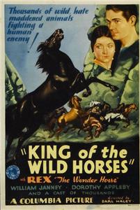 King of the Wild Horses (1933) Online