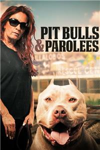 Pit Bulls and Parolees  Online