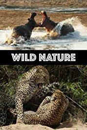 Wild Nature African Lion: male coalitions (2008– ) Online
