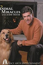 Animal Miracles Scarlett's Legacy (2001– ) Online