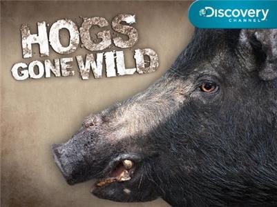 Hogs Gone Wild Man vs. Beast (2011– ) Online