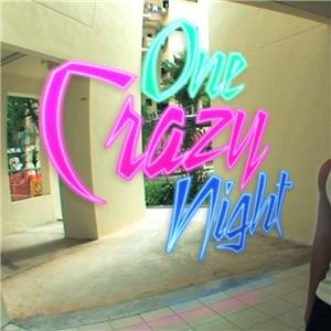 One Crazy Night (2011) Online