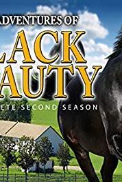 The New Adventures of Black Beauty The Arrival (1992– ) Online