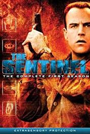 The Sentinel Storm Warning (1996–1999) Online