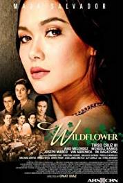 Wildflower Episode #3.66 (2017–2018) Online