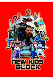 New Kids on the Block Dat was grappig (2007–2011) Online