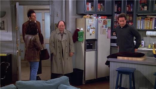 Seinfeld The Chronicle (1989–1998) Online