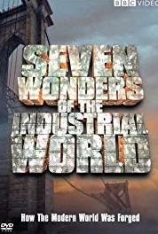 Seven Wonders of the Industrial World The Brooklyn Bridge (2003– ) Online