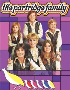 The Partridge Family  Online