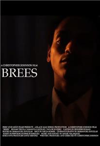 Brees (2015) Online